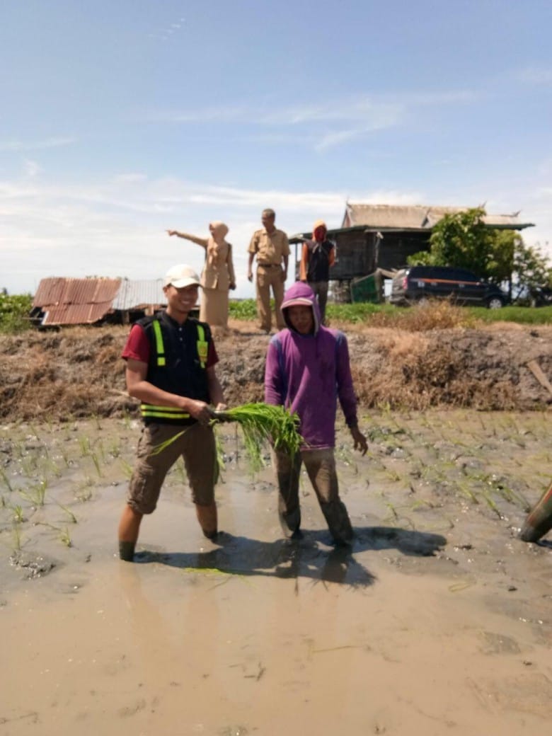 InsanNews | Inspiratif dan Terpercaya