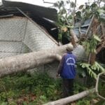 InsanNews | Inspiratif dan Terpercaya