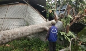 151-0-ab44a2c9b28d1a8f1591dca818abddea InsanNews | Inspiratif dan Terpercaya