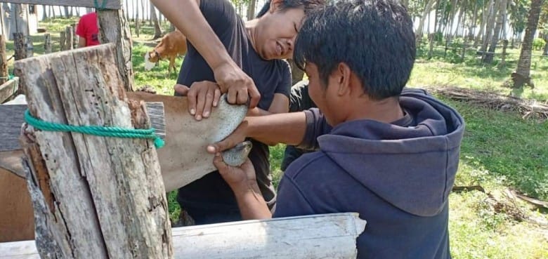 InsanNews | Inspiratif dan Terpercaya