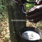 56-0-b033061768befb4c0382e9810f27487b InsanNews | Inspiratif dan Terpercaya