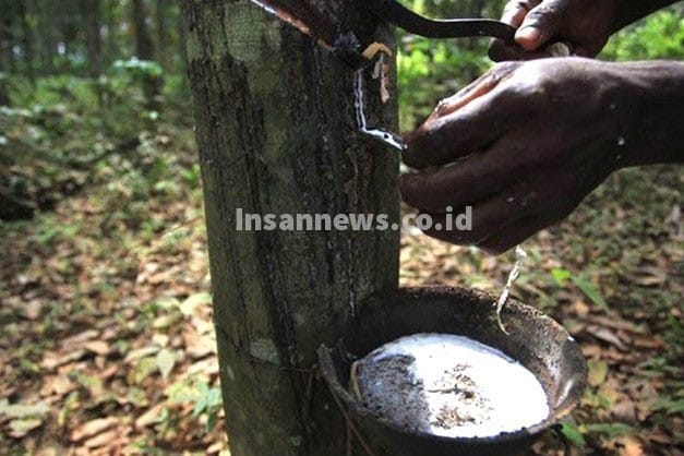 InsanNews | Inspiratif dan Terpercaya