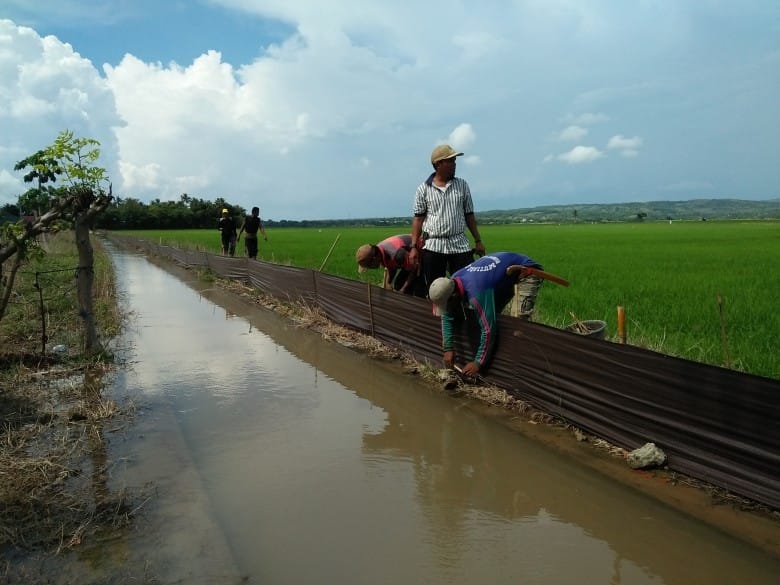 Kemarau Panjang Ancam Kedaulatan Pangan | InsanNews InsanNews | Inspiratif dan Terpercaya