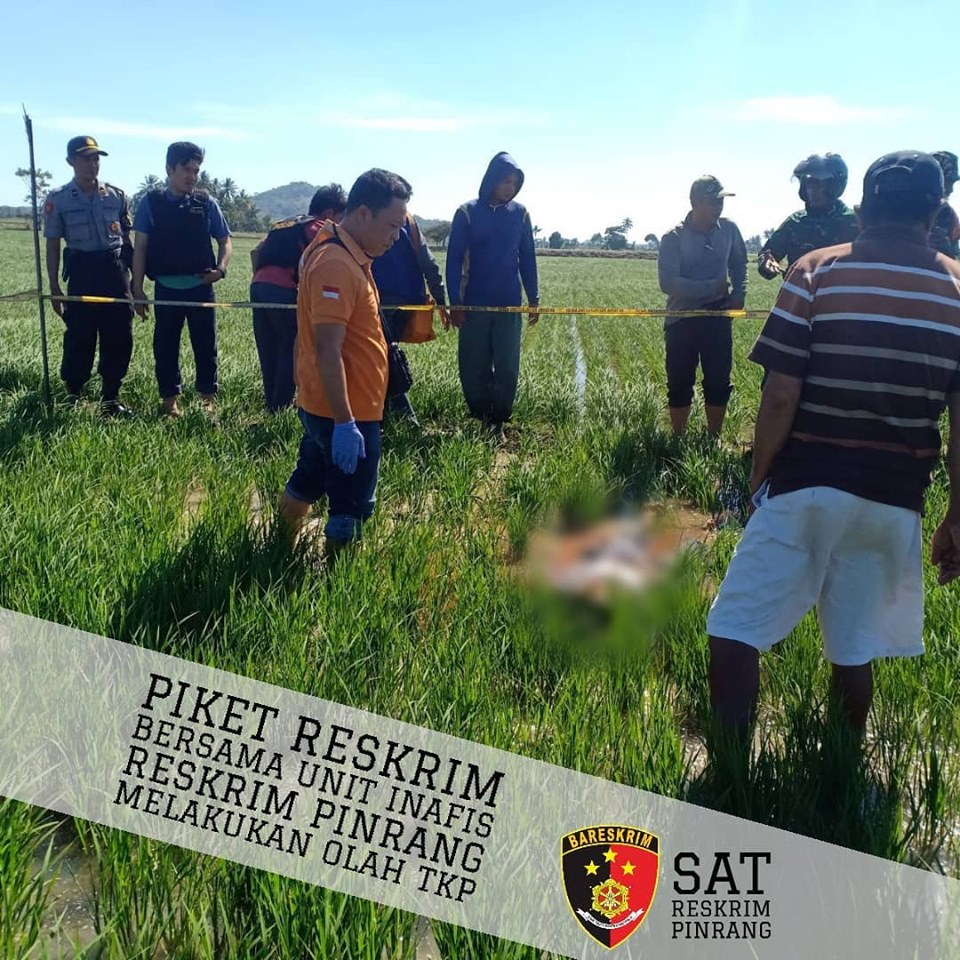 67246511_3366766233340928_2343102477571719168_n InsanNews | Inspiratif dan Terpercaya