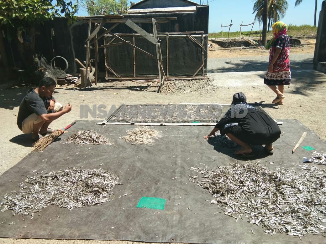 InsanNews | Inspiratif dan Terpercaya