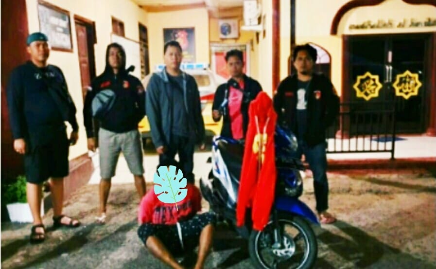 InsanNews | Inspiratif dan Terpercaya