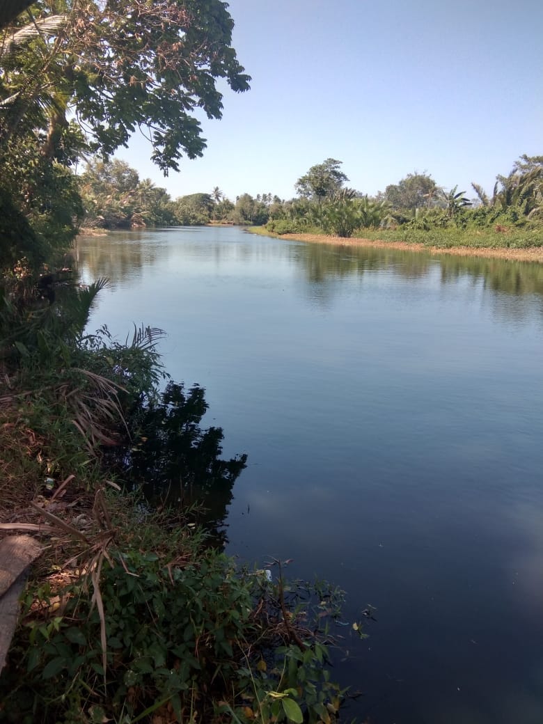 InsanNews | Inspiratif dan Terpercaya