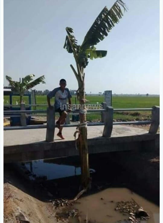 InsanNews | Inspiratif dan Terpercaya