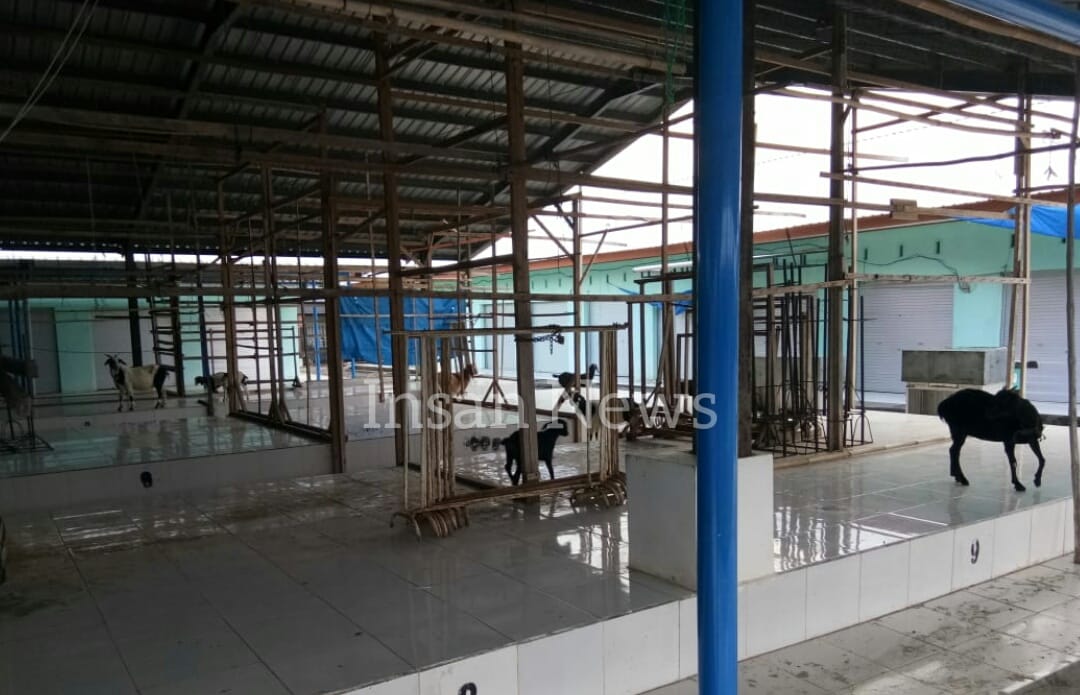 InsanNews | Inspiratif dan Terpercaya