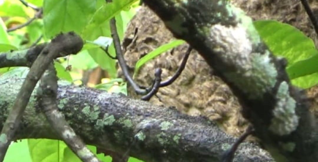 InsanNews | Inspiratif dan Terpercaya