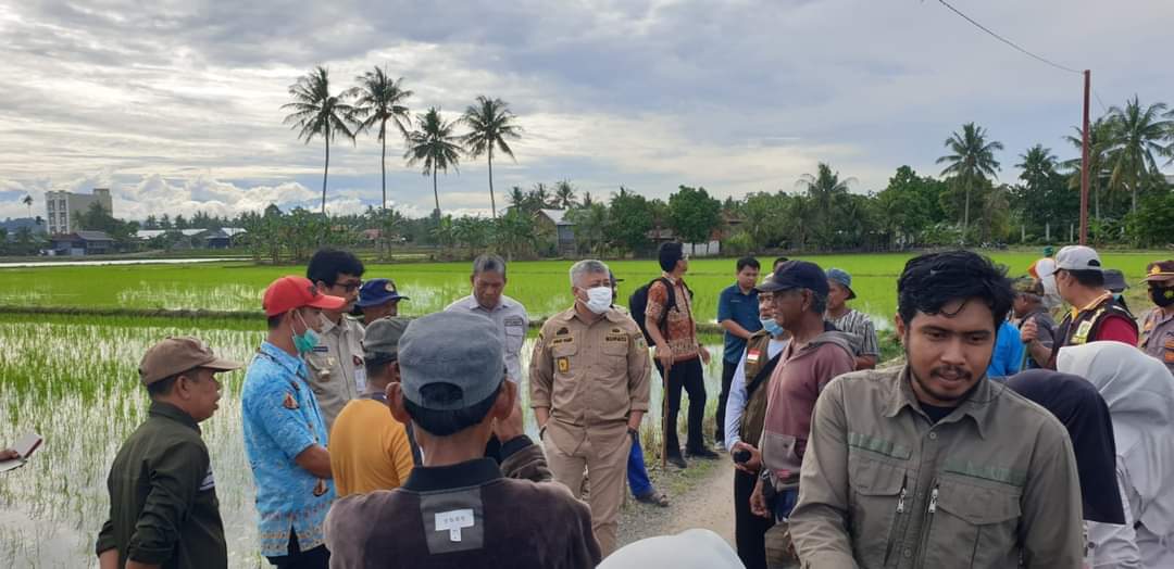 FB_IMG_1657199987449 InsanNews | Inspiratif dan Terpercaya