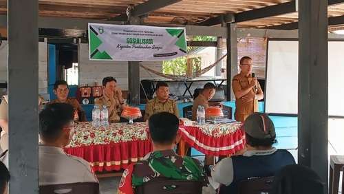 InsanNews | Inspiratif dan Terpercaya