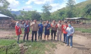 InsanNews | Inspiratif dan Terpercaya