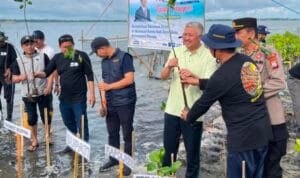 InsanNews | Inspiratif dan Terpercaya
