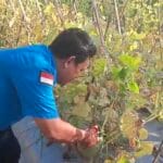InsanNews | Inspiratif dan Terpercaya