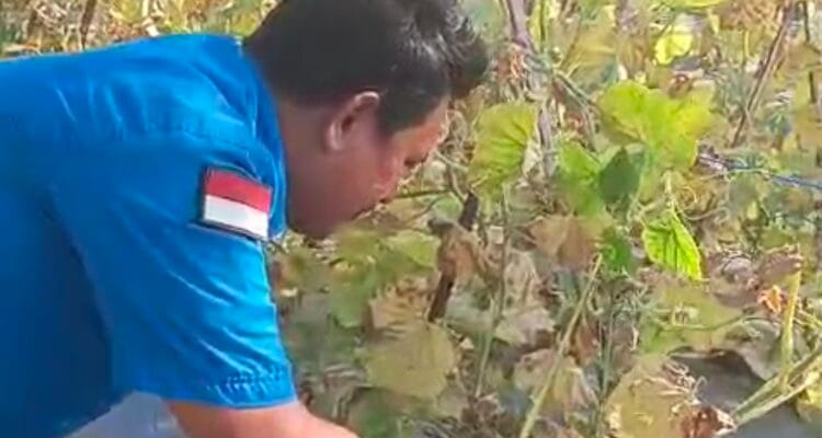 InsanNews | Inspiratif dan Terpercaya